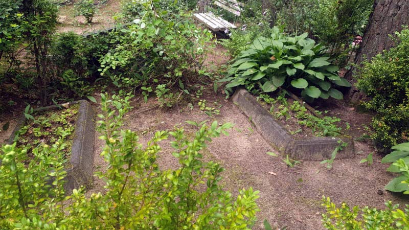 Kapatvieta pirms uzkopšanas kapos