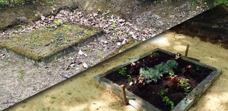 Kapu uzkopšanu un labiekārtošanu online ar foto atskaiti