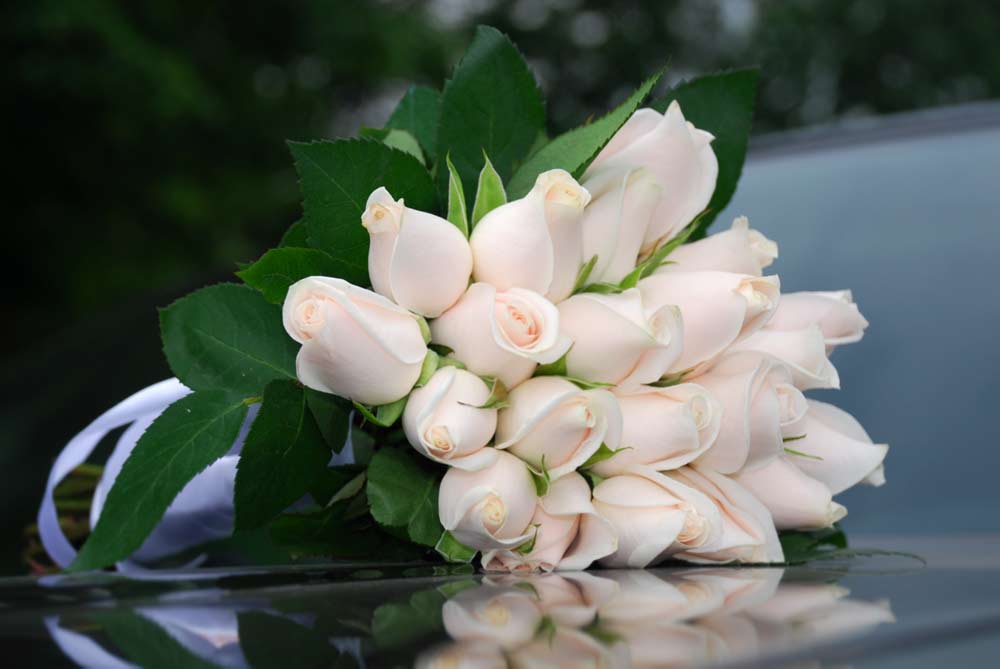 Atvadu sveiciens aizgājējam - kā pasūtīt sēru pušķi vai bēru vainagu?