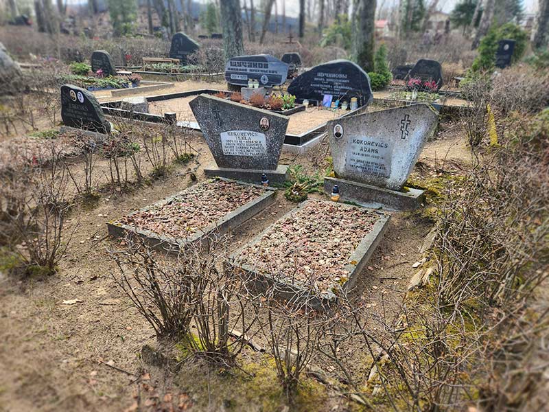 Grave Before Reconstruction