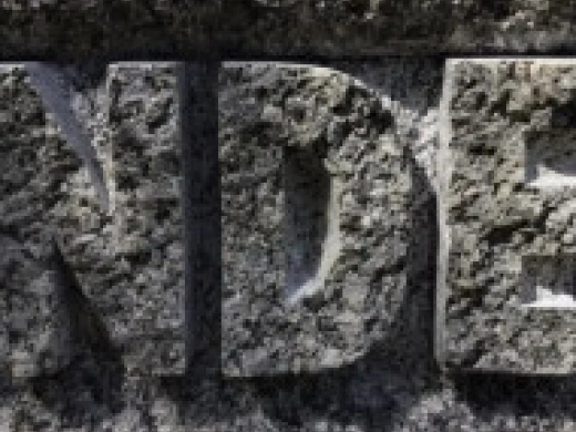 Ronalds Jaunzems Logo - roku darbs akmenī