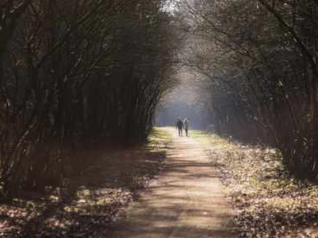 Svecīšu vakari jeb mirušo piemiņas dienas Latvijas kapsētās