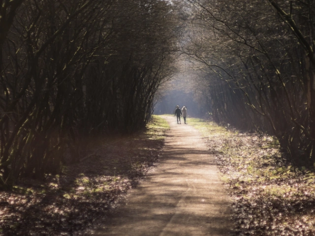 How to remotely maintain graves of the loved ones?