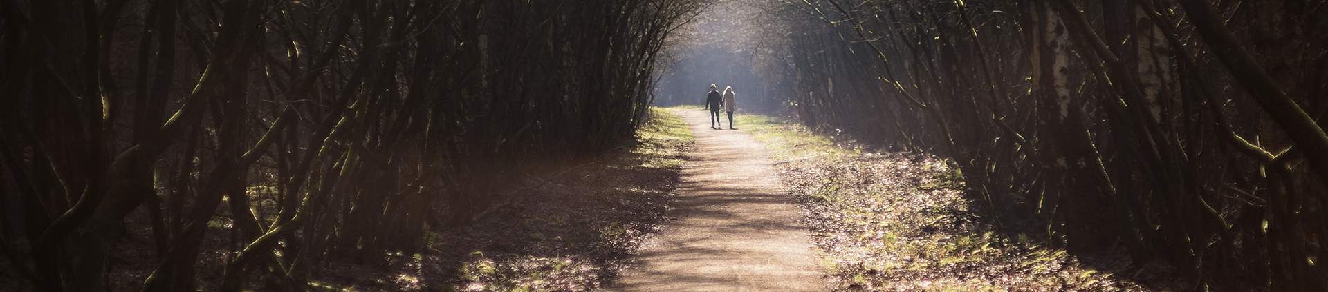 Apbedīšana Latvijā