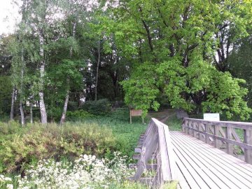 Olaines kapsēta (Jaunolainē)