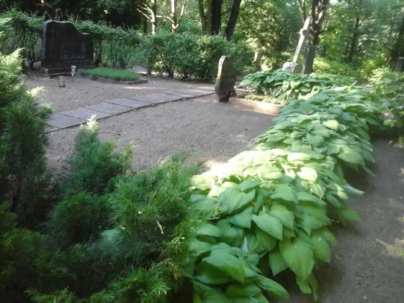 Brunavas pagasta Sila kapi 