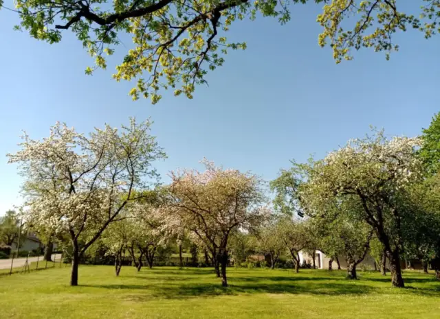 Andreja Upīša memoriālā māja 