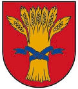 Rūjienas novada bāriņtiesa Logo