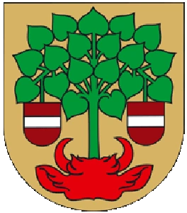 Valmieras pilsētas bāriņtiesa Logo