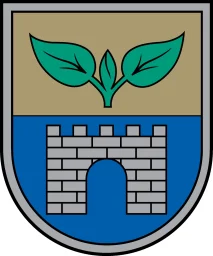 Salaspils novada bāriņtiesa