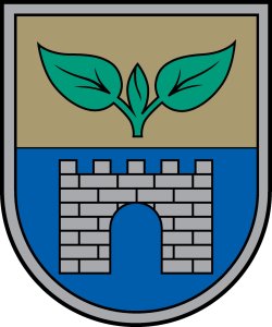 Salaspils novada bāriņtiesa