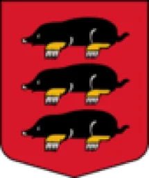 Daugavpils novada Višķu bāriņtiesa