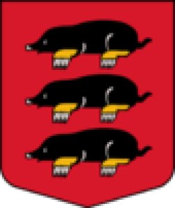 Daugavpils novada Višķu bāriņtiesa