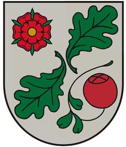 Pārgaujas novada bārintiesa