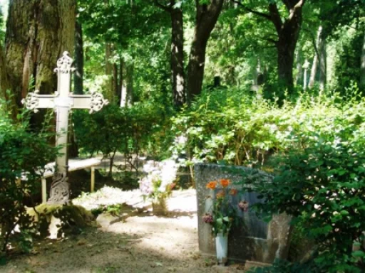 Aizkraukles Vecie kapi