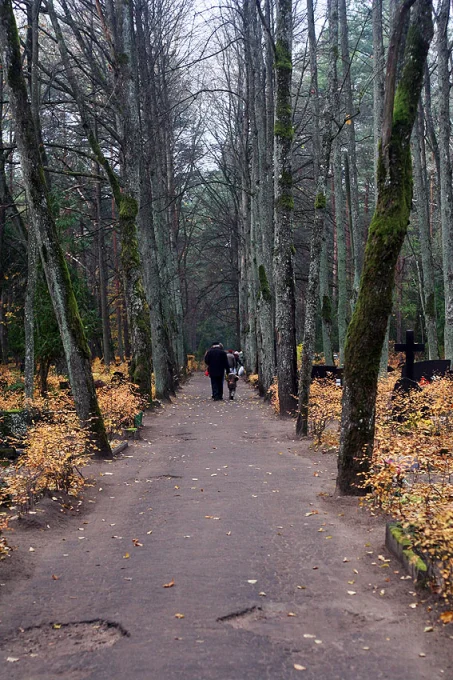 Lāčupes kapsēta Lāčupes kapsēta - Kapsēta Kleistu mežā