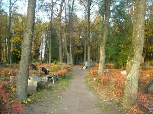 Pleskodāles kapsēta 