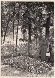 Kuldīga, Vecie kapi