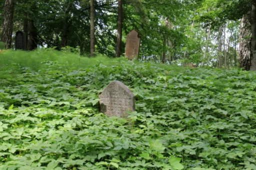 Laidzes pagasts, Ebreju kapi