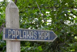 Paplakas kapi