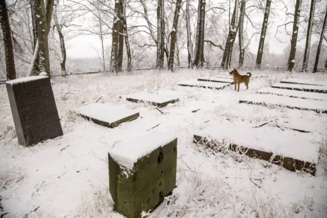 Popes pagasts, Pope, Vecie Baronu kapi 