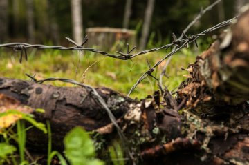 Ložmetējkalns Tīreļpurvā