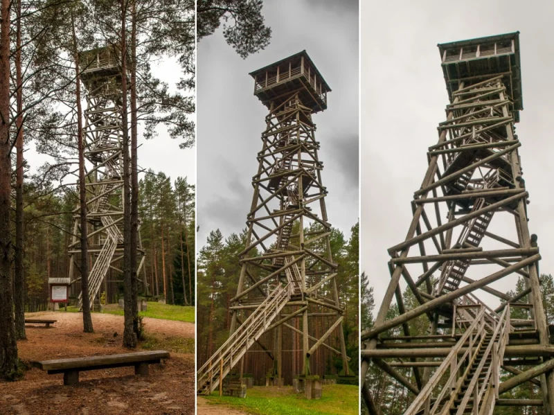 Ložmetējkalns Tīreļpurvā 