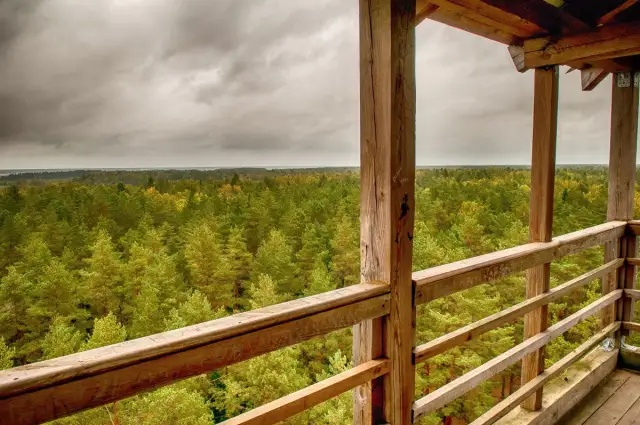 Ložmetējkalns Tīreļpurvā 