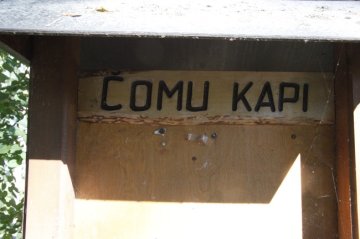Čomu kapi