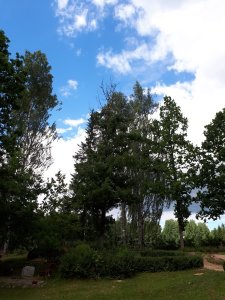 Mores pagasta kapsēta