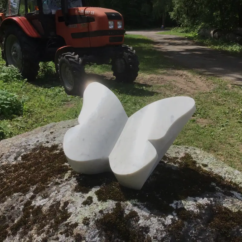 Taurenis marmorā, nolaidies kā pārsteigums uz dabas akmens vai kādas esošas apmales