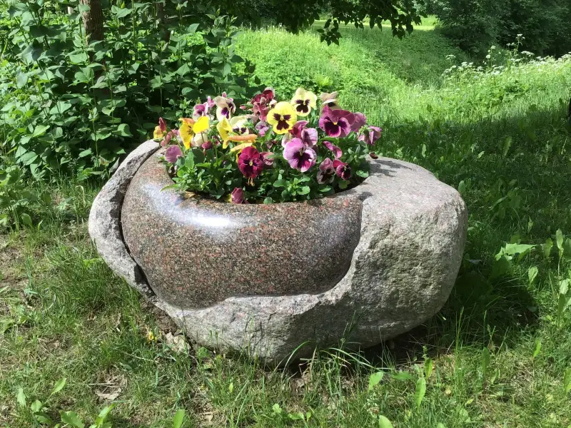 Puķupods ar ziediem pats burtiski izkausē skarbo akmens klints raksturu