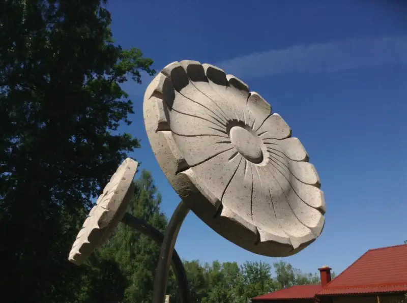 Akmens ziedi, gaiši un pozitīvi, pavērsti pret Sauli. Iespējami visdažādākā izmēra