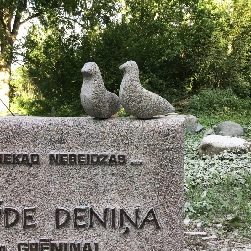 Divas dūjas - mīlestības un mūžīgās draudzības simbols, vienkārši un sirsnīgi