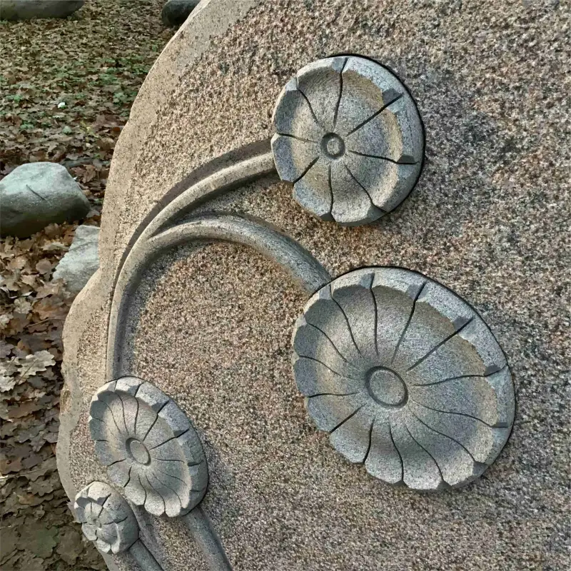 Virpoti ziedi iestiprināti plaknē, uz pusēm nošķeltā laukakmenī, bučardētā plaknē