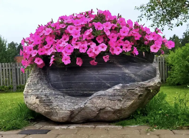 Puķu trauks ar bagātīgu ziedu vezumu