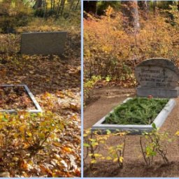 Preview image for  Grave cleaning 