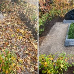 Preview image for  Grave cleaning 