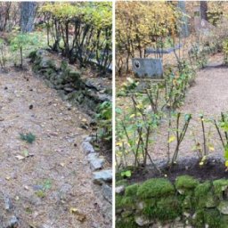 Preview image for  Leaf removal