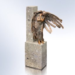 Preview image for  Sēru Eņģelis