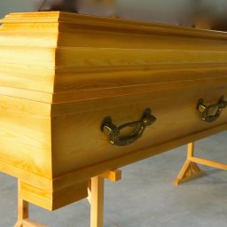 Preview image for  Light wooden coffin