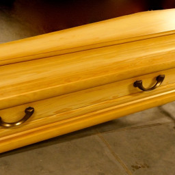 Preview image for  Light wooden coffin