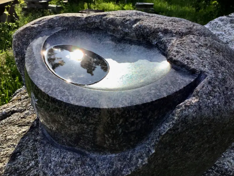 Putnu dzirdinātava - svētība no debesīm