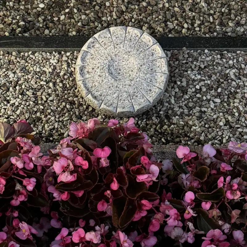 Raibi gaiša granīta zieds, kā kontrastējošs pārsteigums tradicionālā vietā.