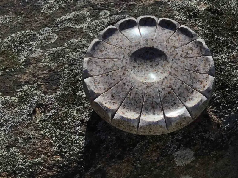 Pulētais zieds nolikts uz neskartas, ar ķērpi un sūnu apaugušas virsmas.