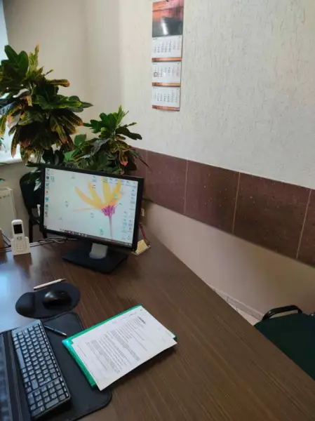 Translation agency Littera