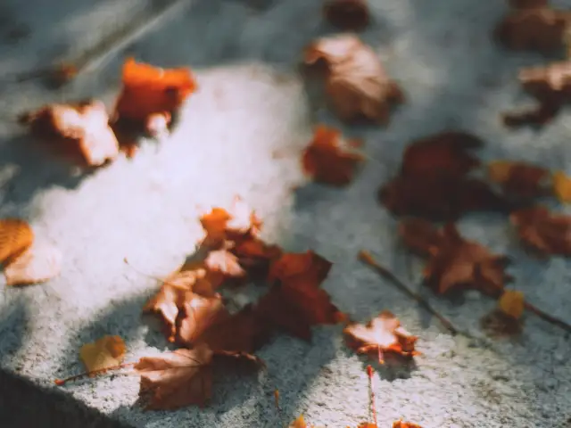 Осенняя уборка места захоронения