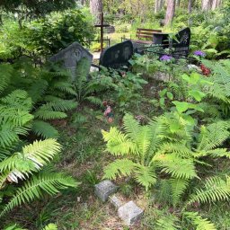 Preview image for  Grave Site Before Cleaning