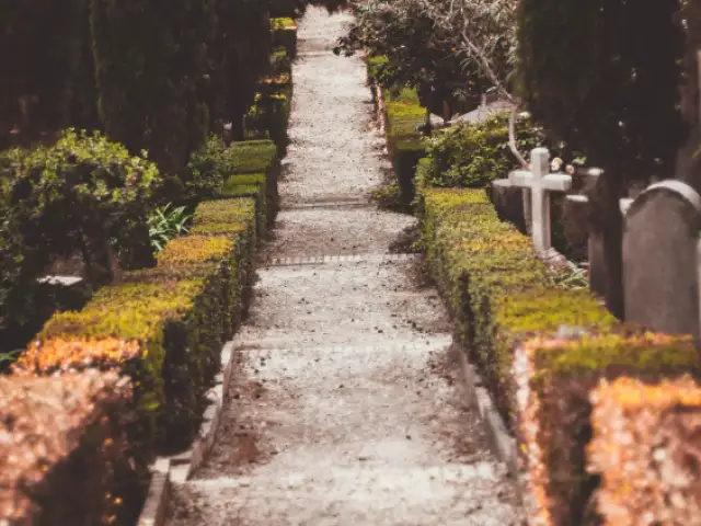 			Buried Persons Search
	