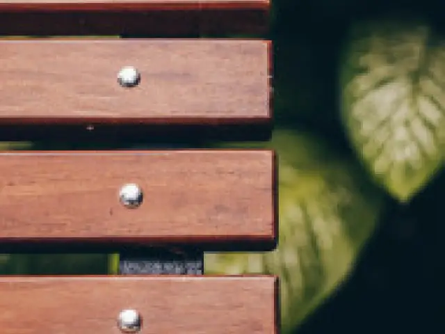 Wooden grave benches